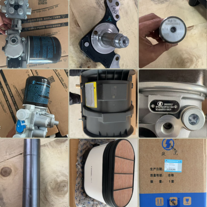 Mauritius Auto Parts Giant nyere iwu ezigbo ngwaahịa SHACMAN, Mbupu mbụ ezigara yana iwu nsonye